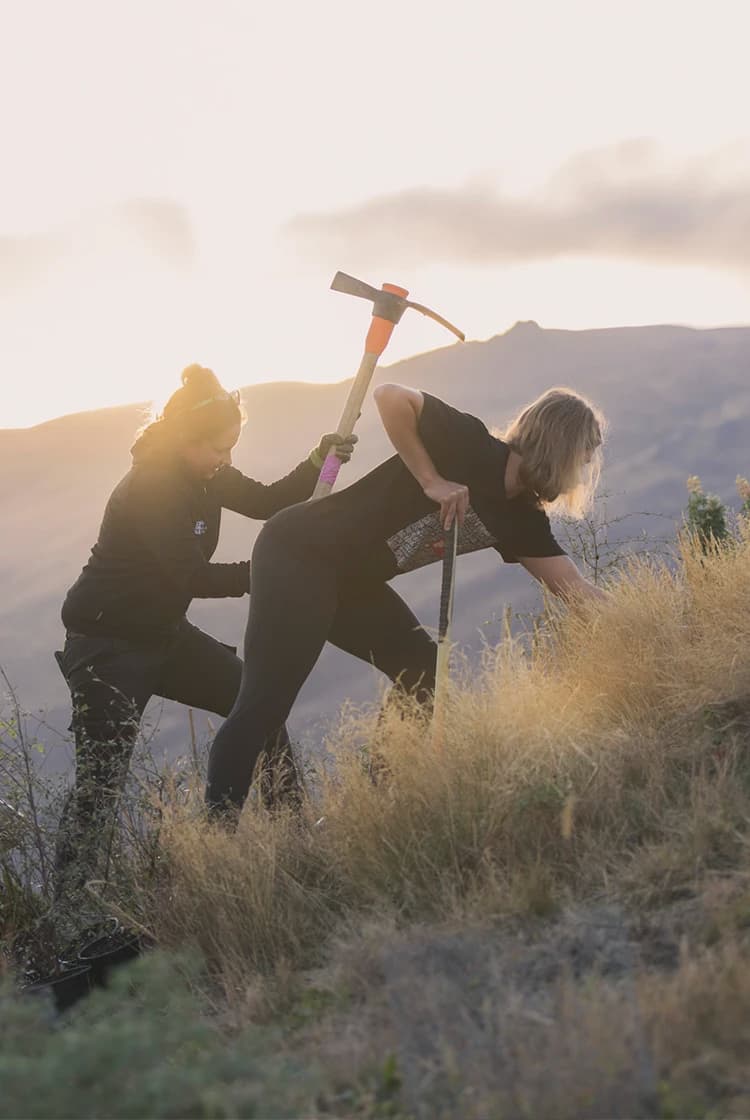 Two people work together on a hillside, one holding a pickaxe and the other using a spade to dig into the dry grass, with soft sunlight illuminating the mountainous background.