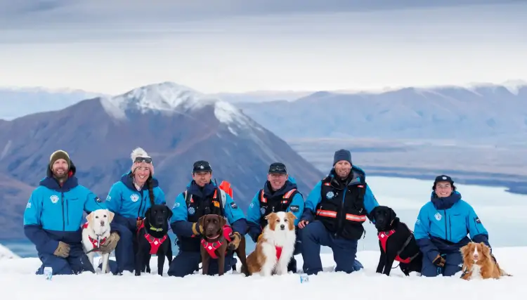 Ski patrol team and their dogs pose on top of a snowy mountain with a lake view in the background.